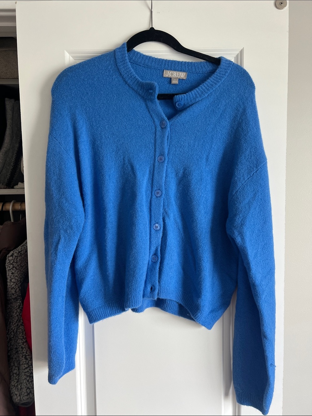 J. Crew Blue Blend Button-Up Sweater